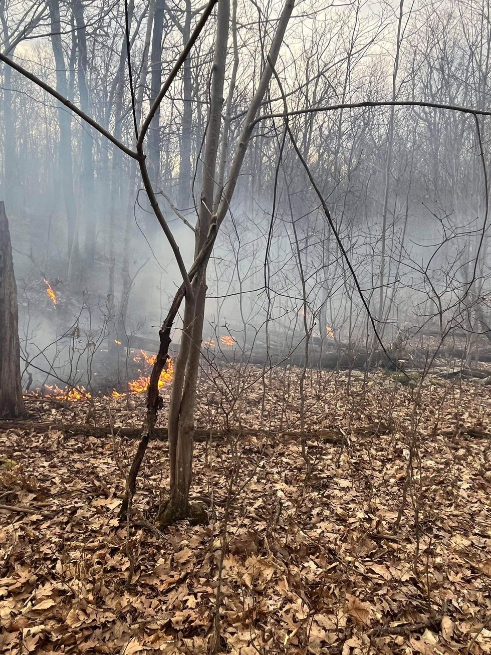 Brush fire burns 15 acres on Shunpike