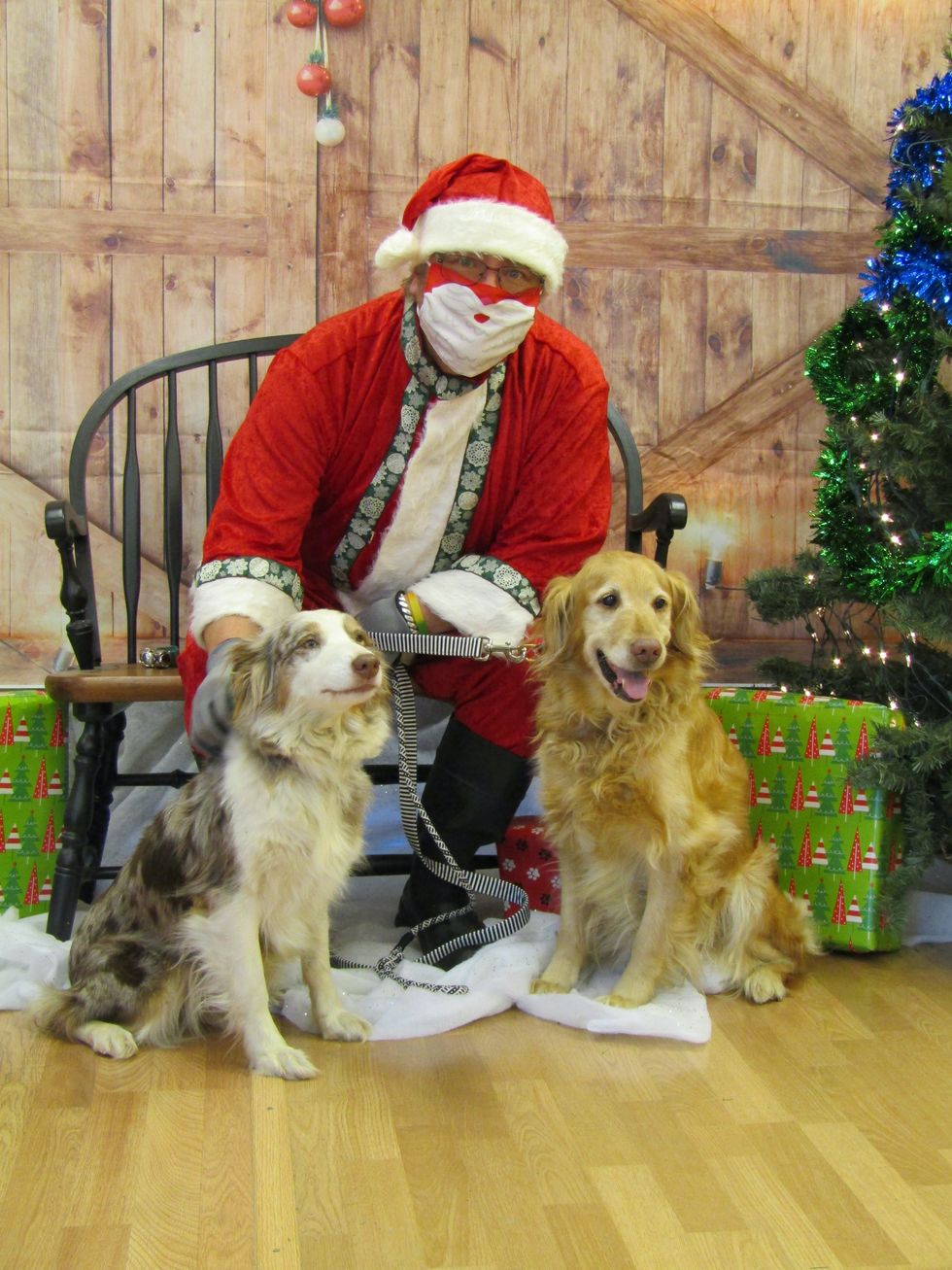 Happy Howlidays!
