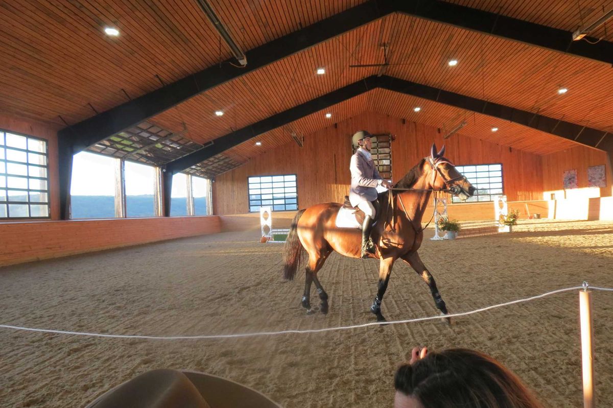 Horses take center stage at Equus Effect fundraiser