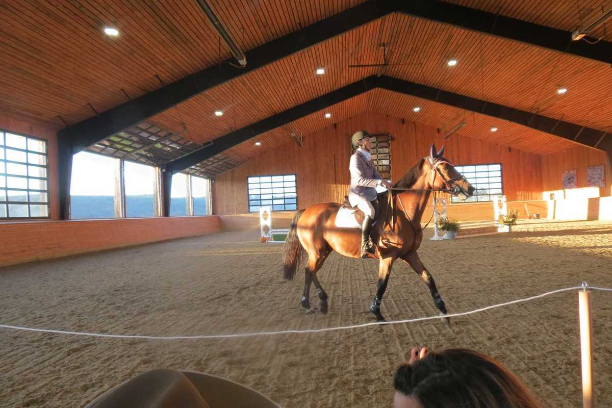 Horses take center stage at Equus Effect fundraiser