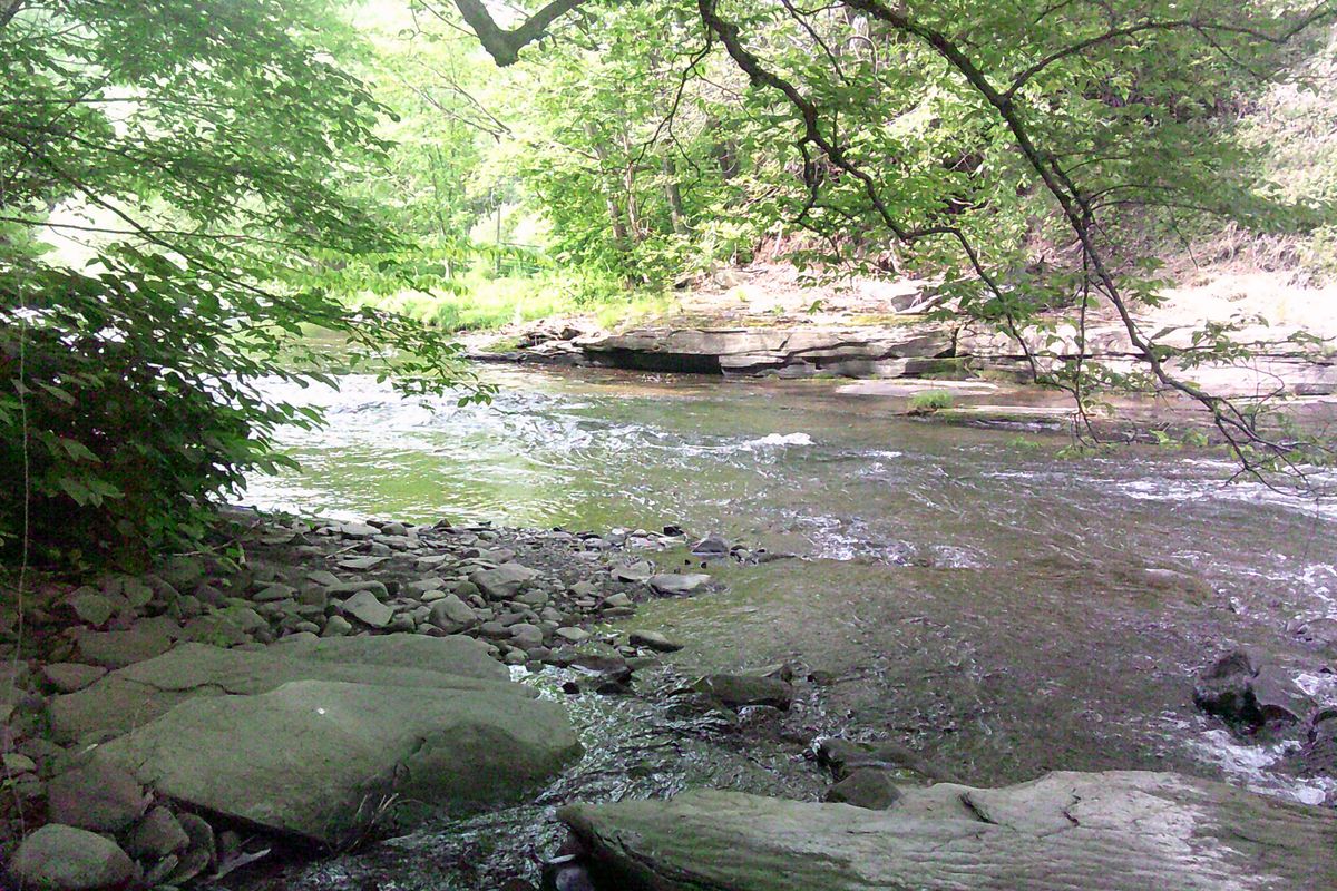 Tangled early June 2025