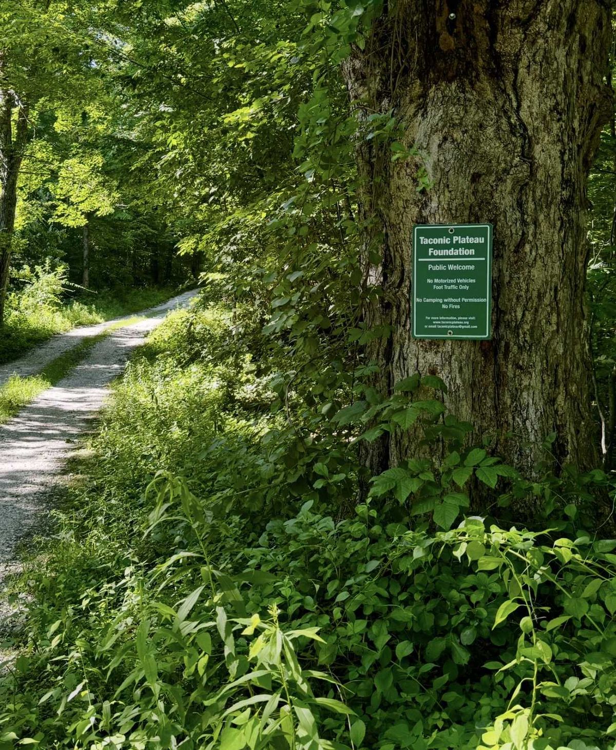 Millerton nonprofit faces closure over tax exemption denial