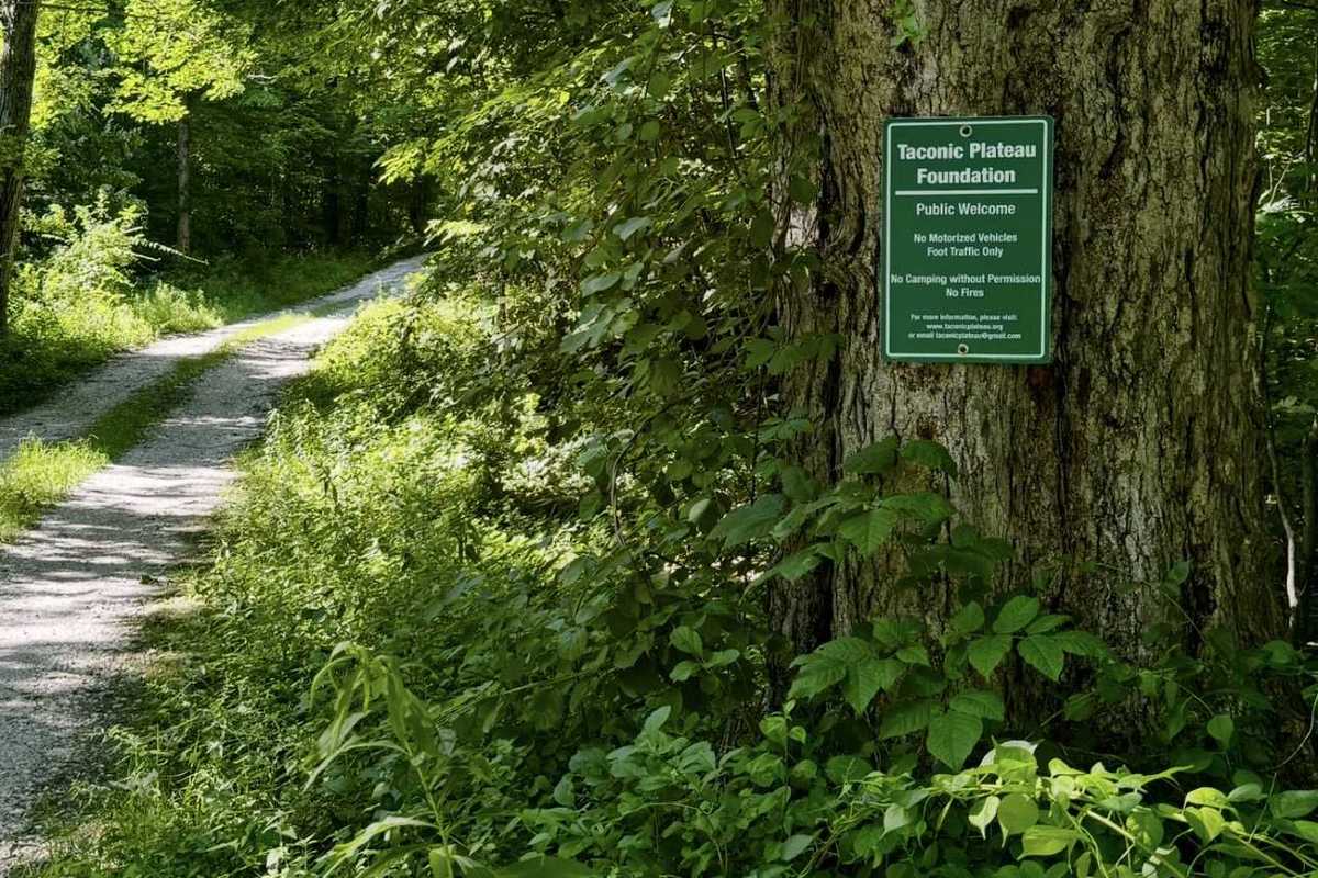 Millerton nonprofit faces closure over tax exemption denial