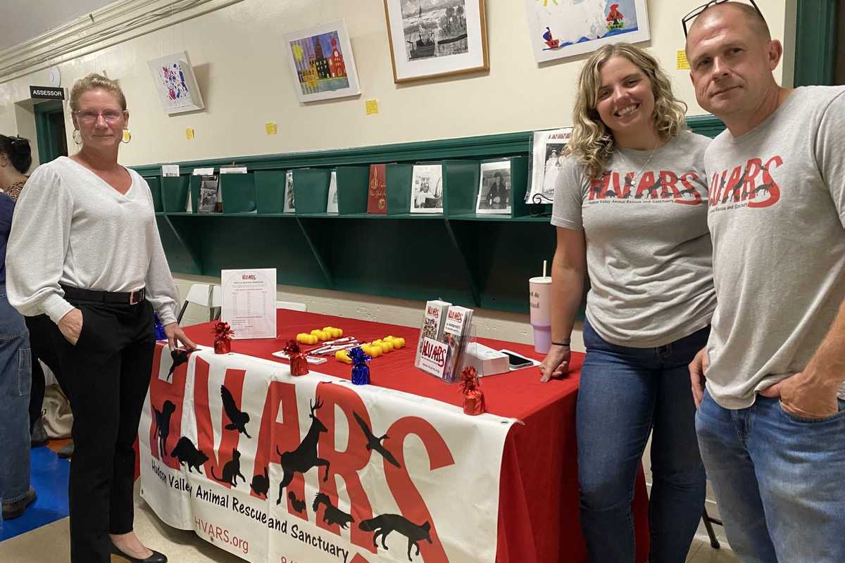 Amenia fair connects residents with cost-saving programs