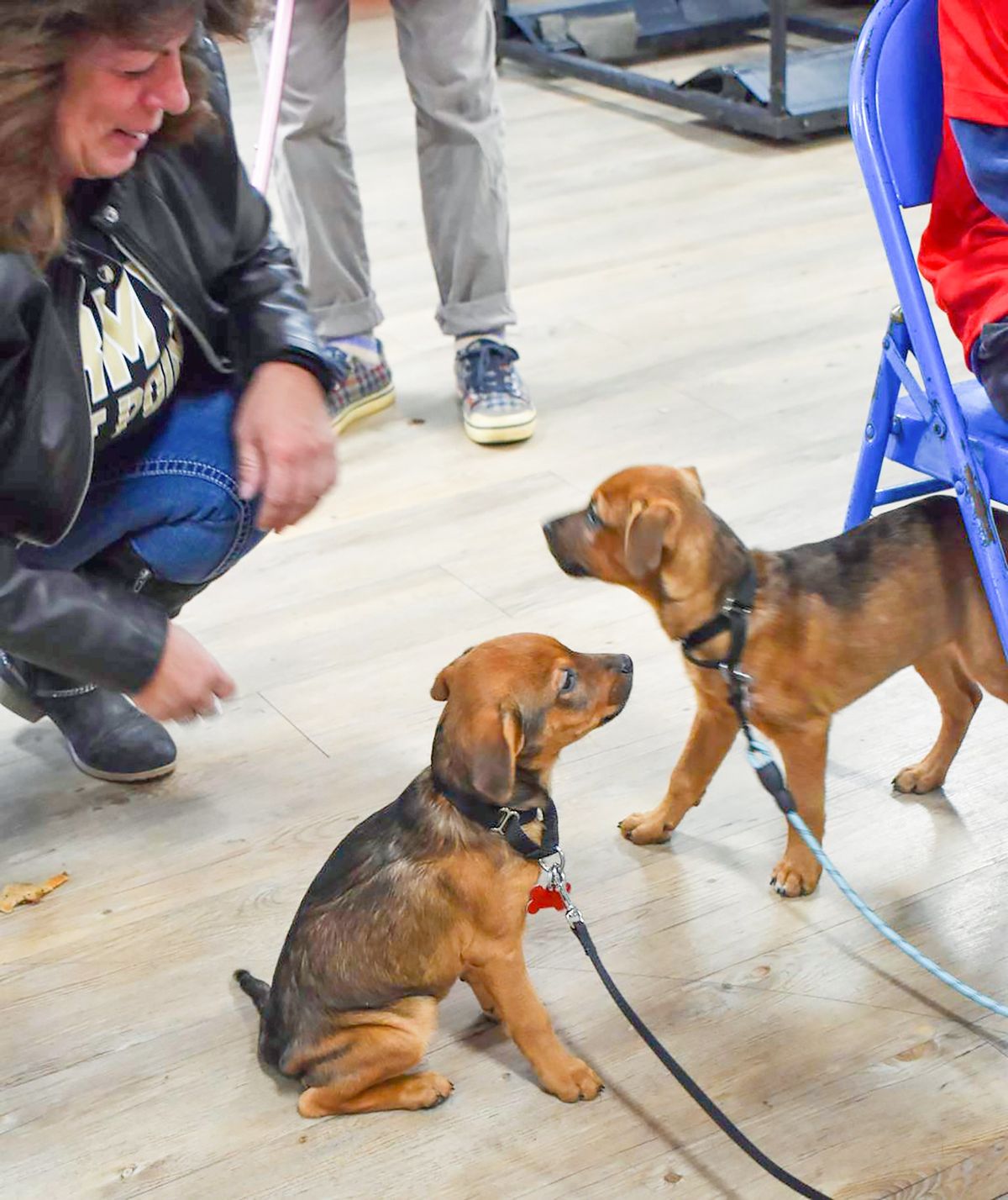 Perfect Pets Rescue hosts adoption event in Pine Plains