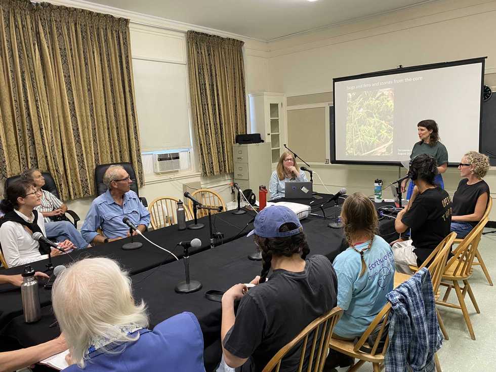 Opera project draws inspiration from Amenia’s wetlands