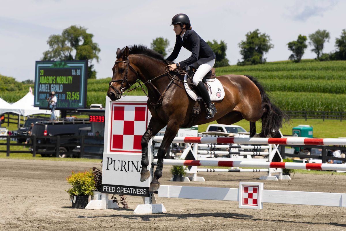Horse trials