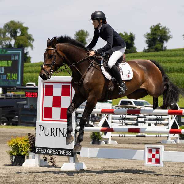 Horse trials