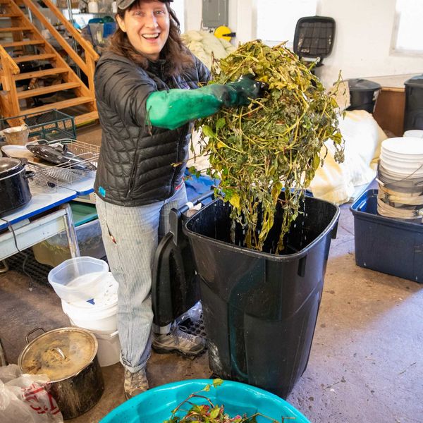 Indigo girls: a collaboration in process and pigment