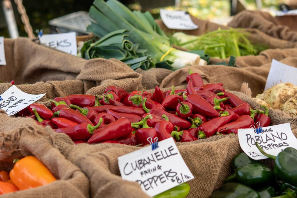 Farmers Market gets new director