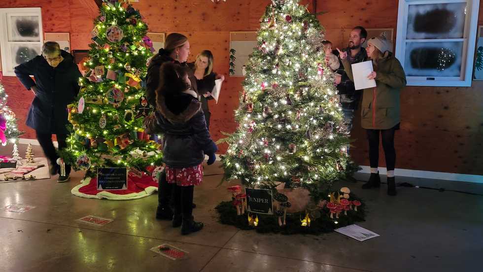 Millbrook’s first Festival of Trees a success