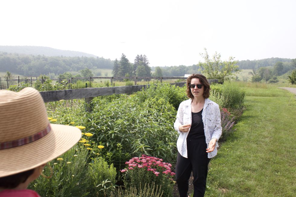 To save the planet, Homegrown National Park wants you to garden