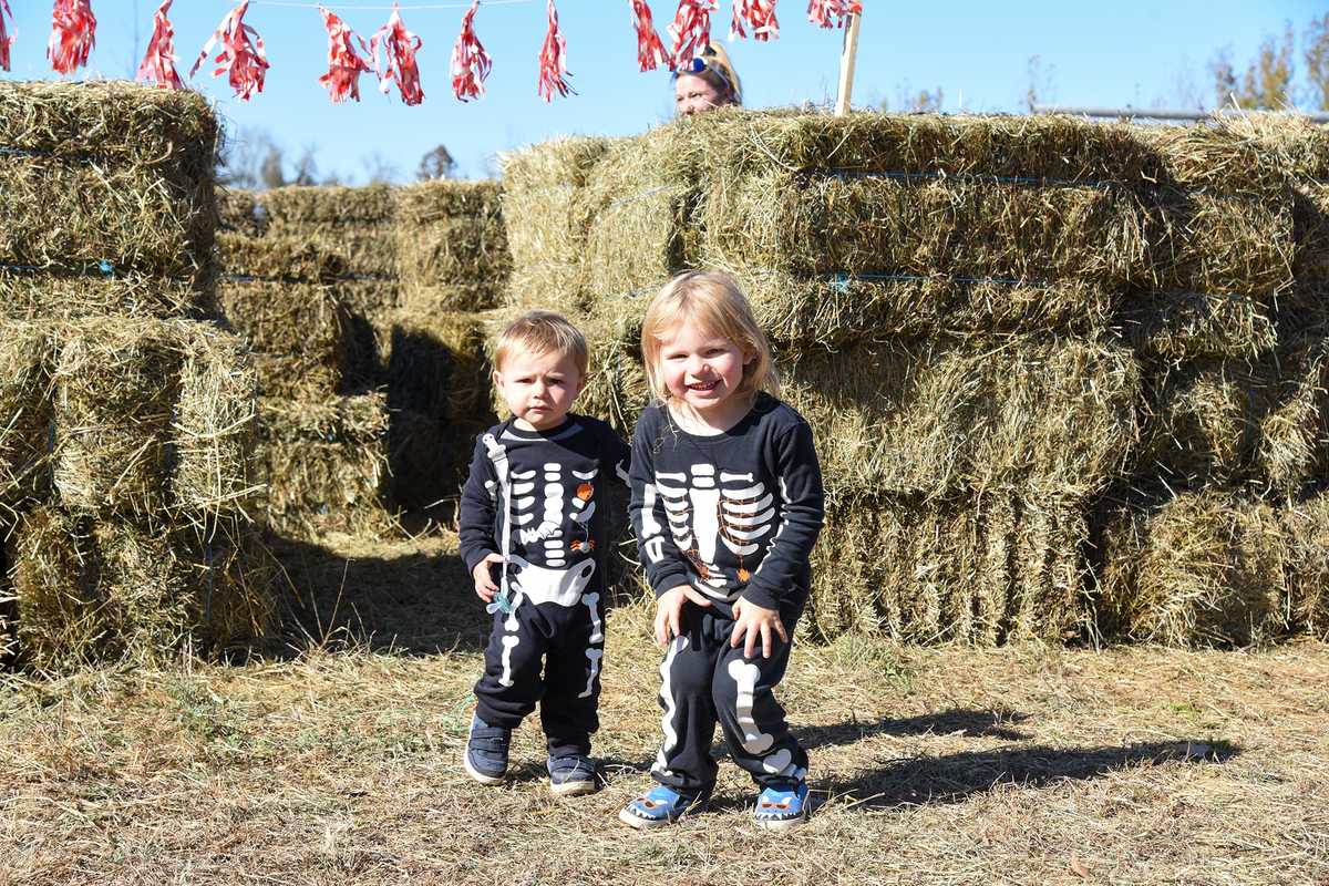 Falls Village: Autumn delights