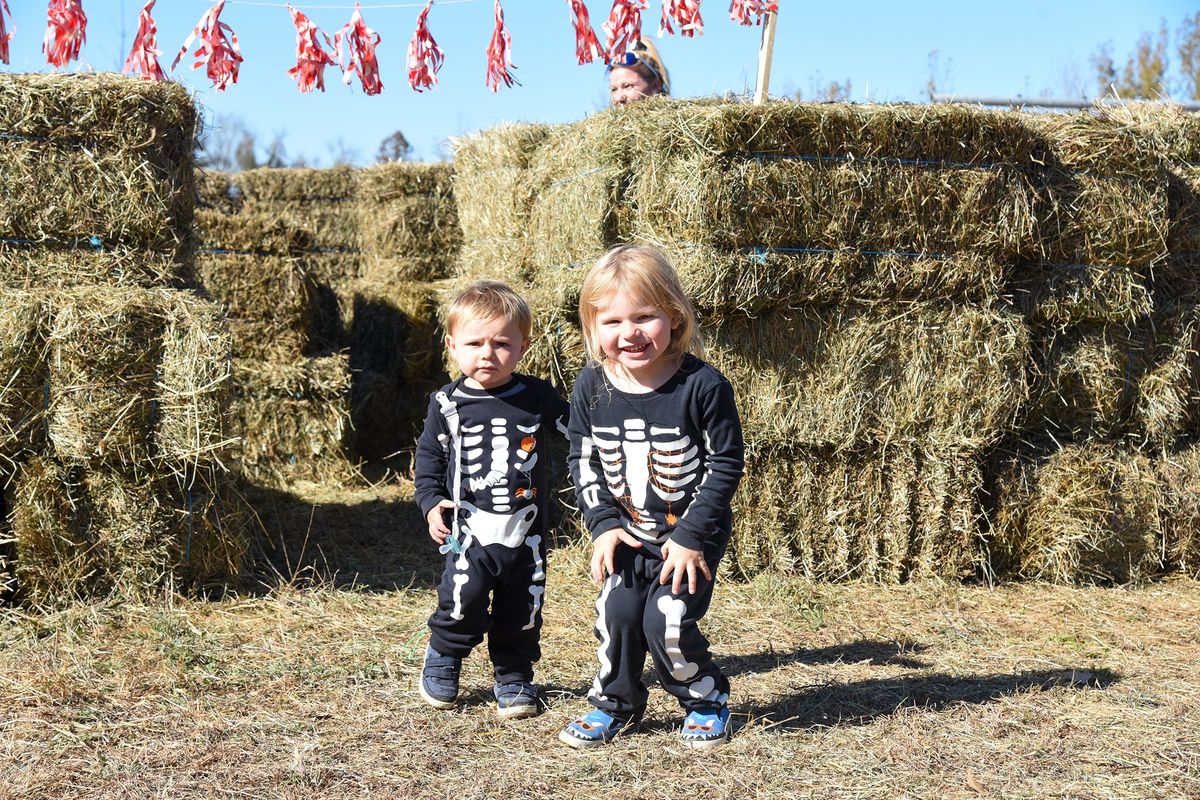 Falls Village: Autumn delights