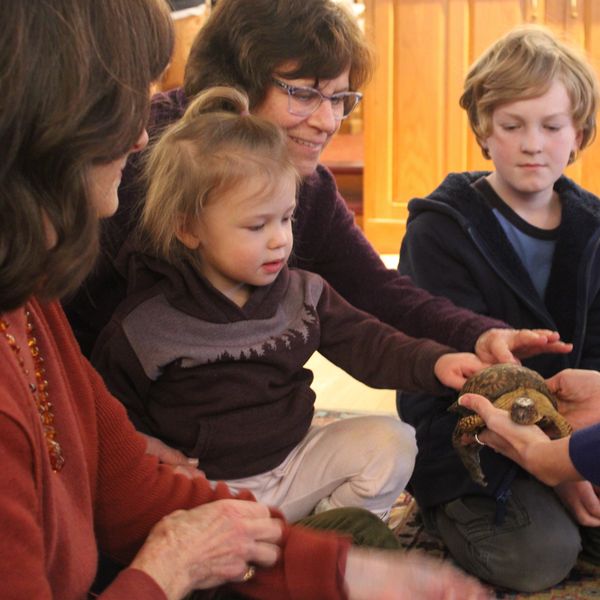 Hands-on with Audubon