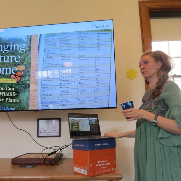 How gardening can nourish birds in everyone’s backyard