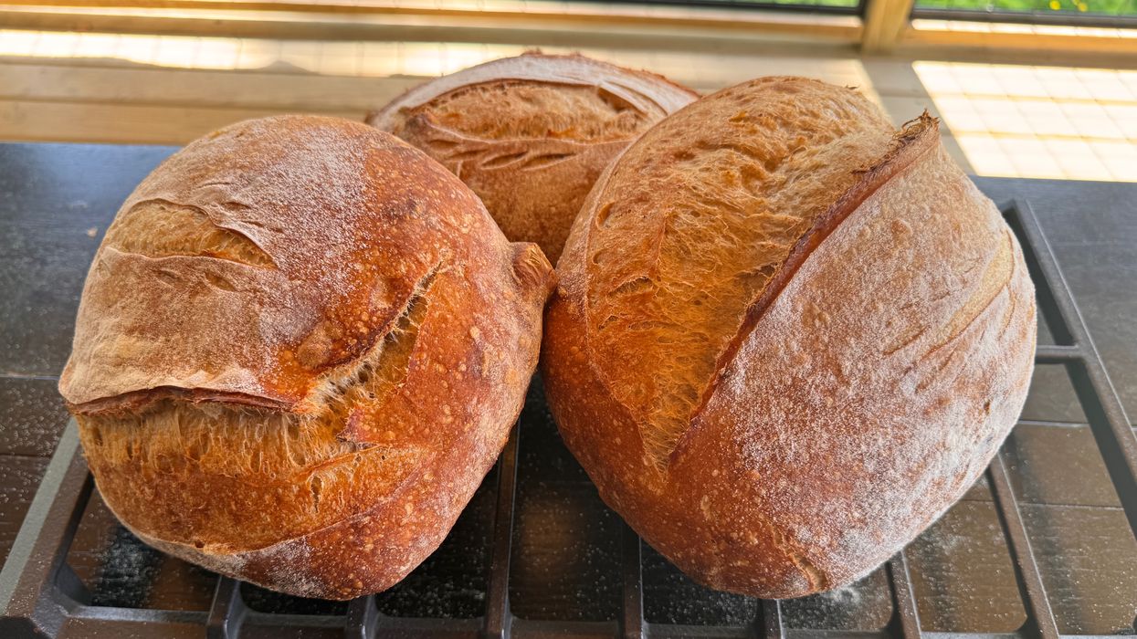 Black Crust Bakery pop-up at Center on Main