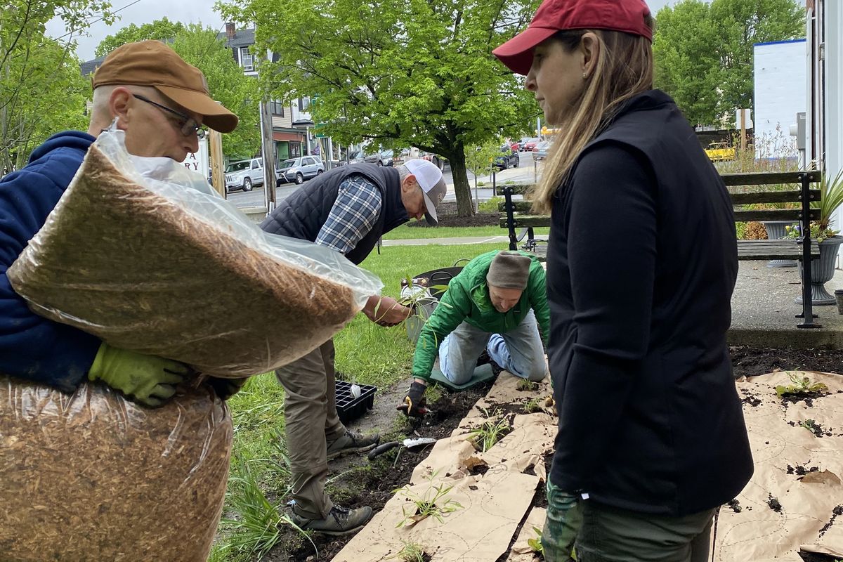 Amenia Garden Club invites birds and bees to check out the native garden at the library