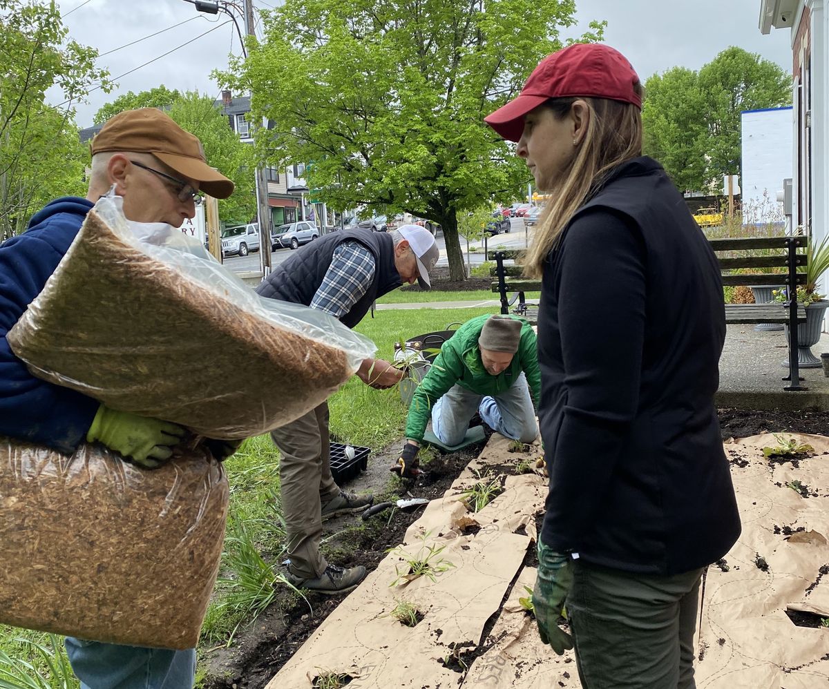 Amenia Garden Club invites birds and bees to check out the native garden at the library