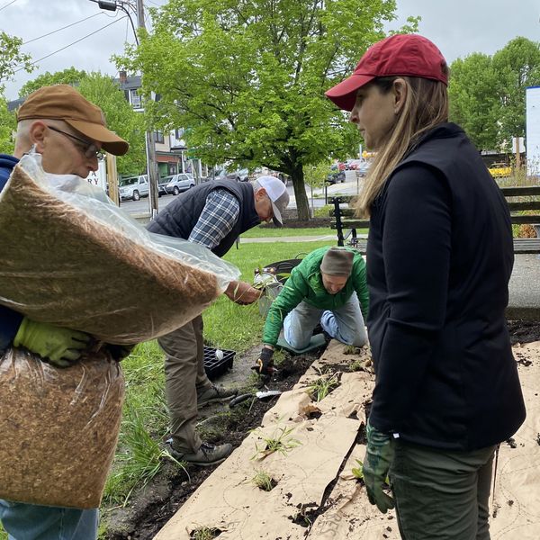 Amenia Garden Club invites birds and bees to check out the native garden at the library