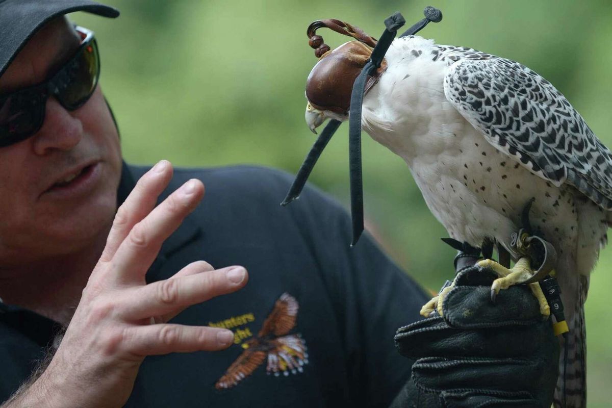 Saturday morning family series returns