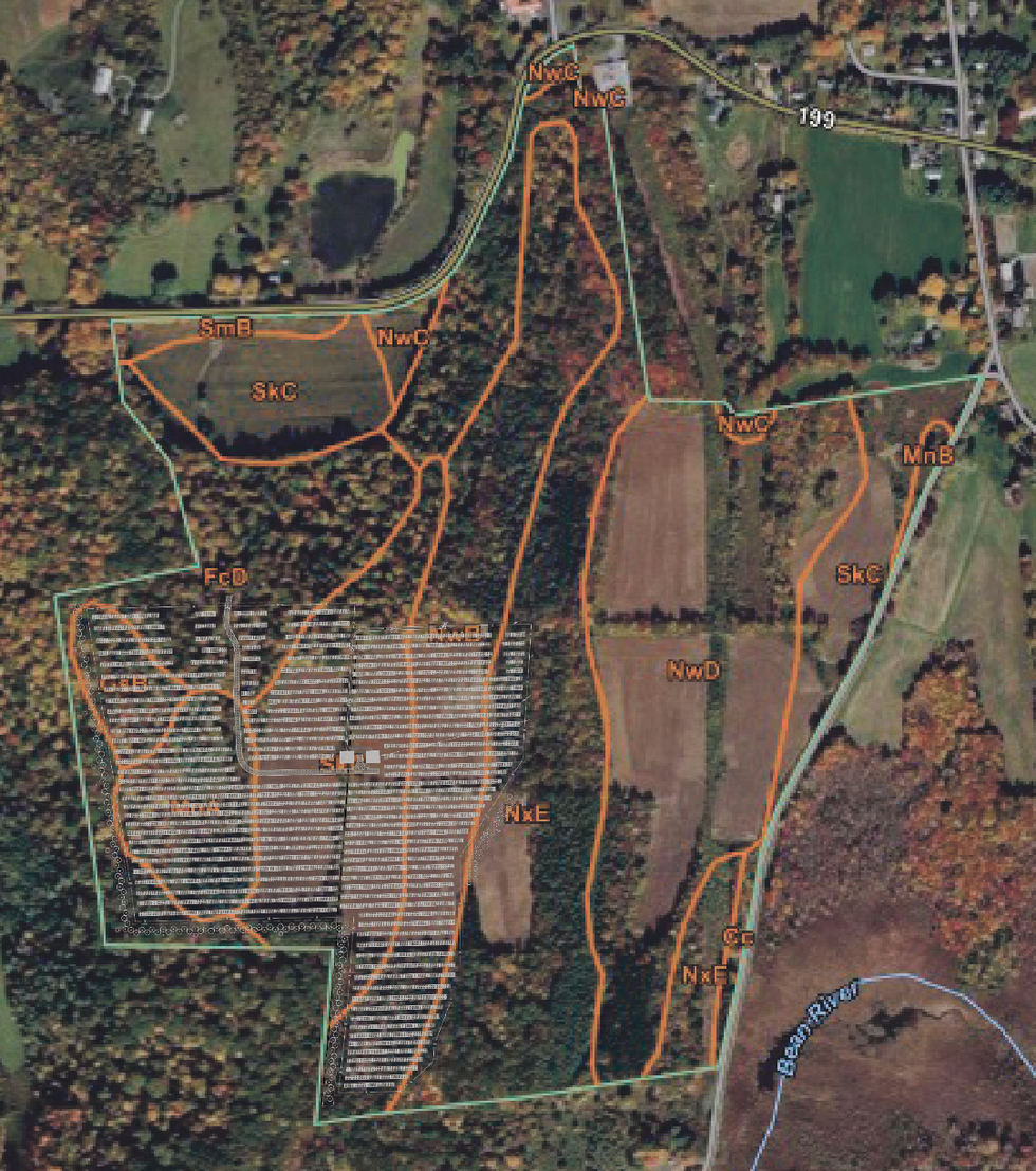 Pine Plains OKs 42-acre solar farm