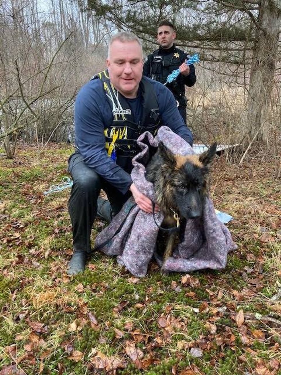 Sheriff’s sergeant rescues dog from icy pond