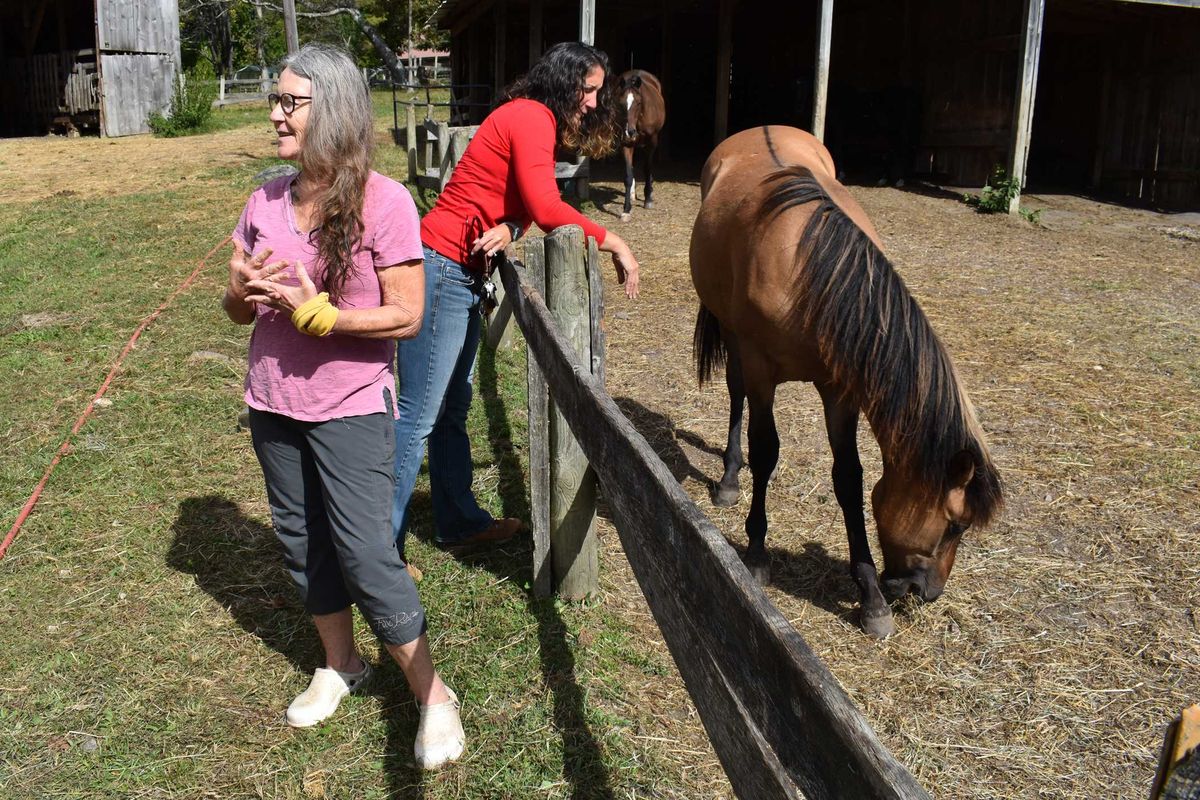 Horses heal: Time Out Foundation partners with Healing Hoofbeats in Lakeville