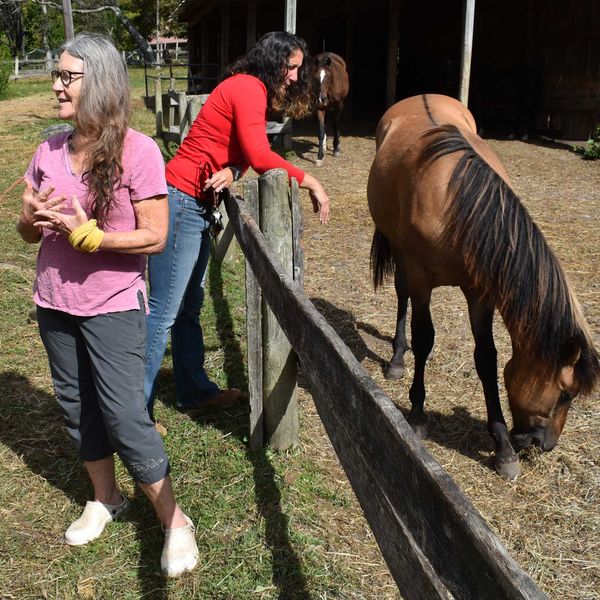 Horses heal: Time Out Foundation partners with Healing Hoofbeats in Lakeville