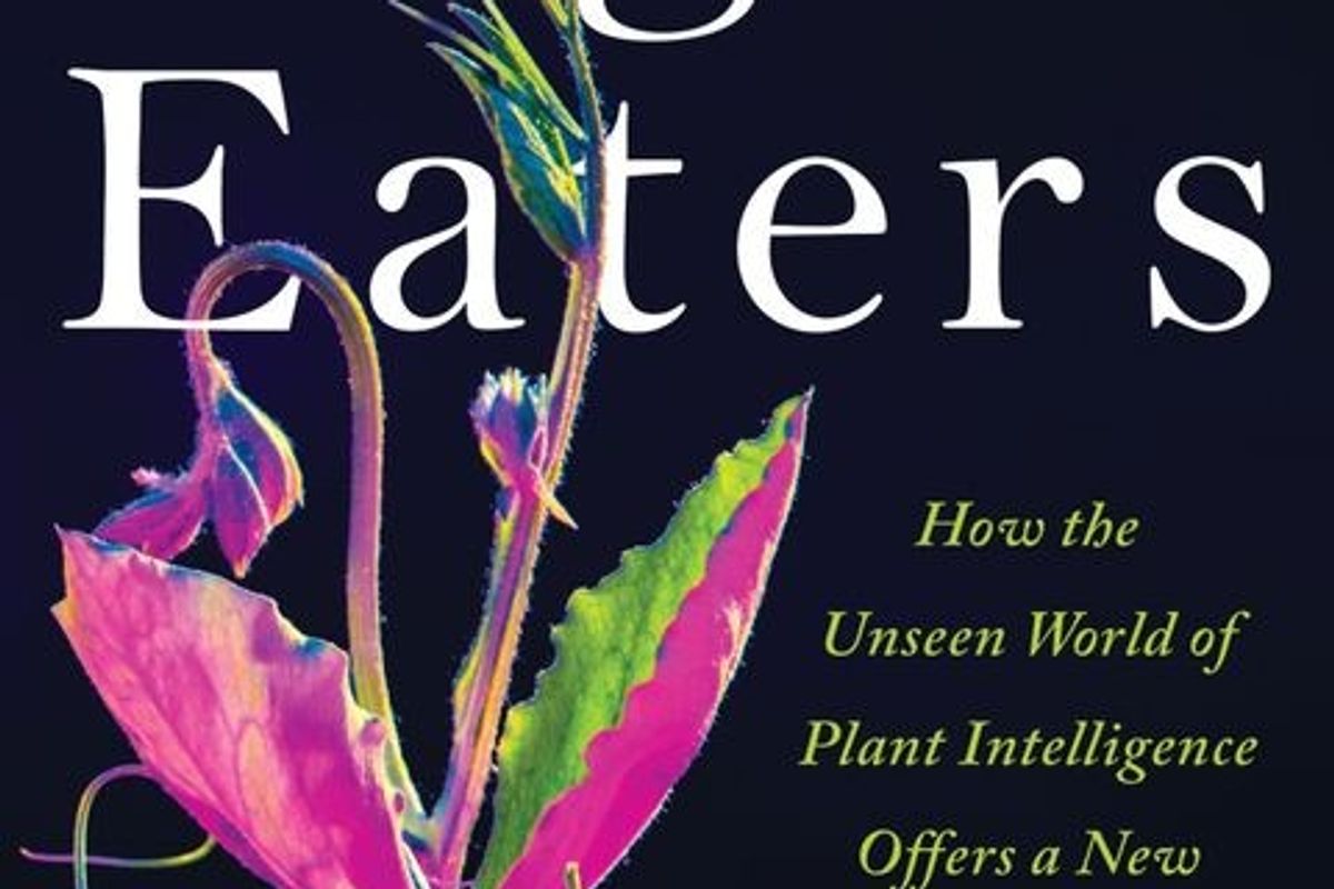 Getting to know our green neighbors