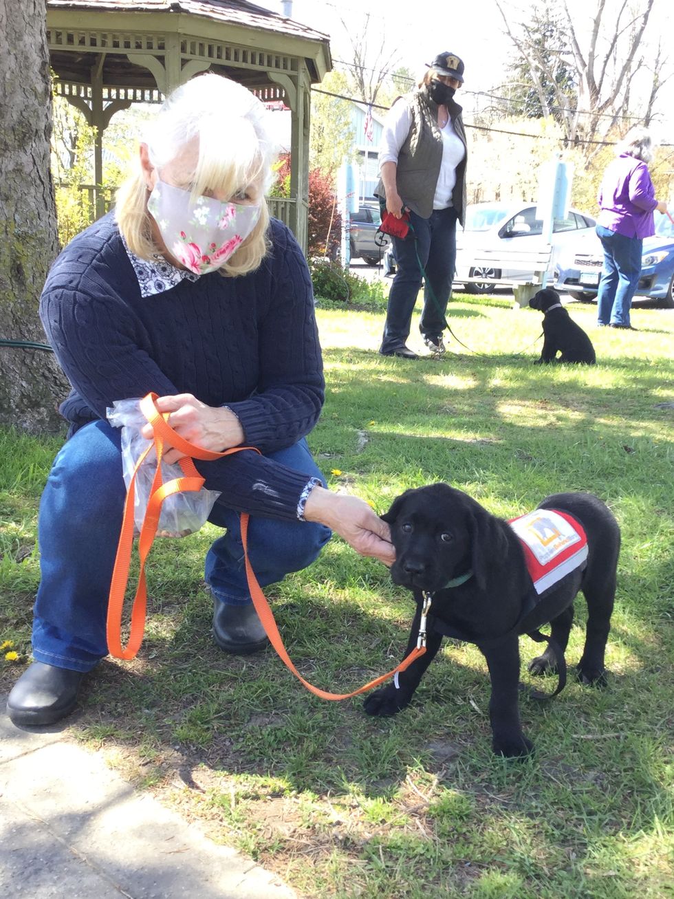 Puppies Behind Bars prepares service dogs in Millerton