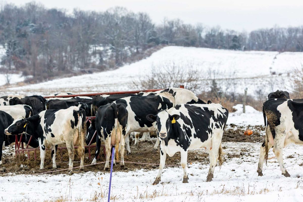Local dairy farmer reacts to U.S. Whole Milk for Healthy Kids Act