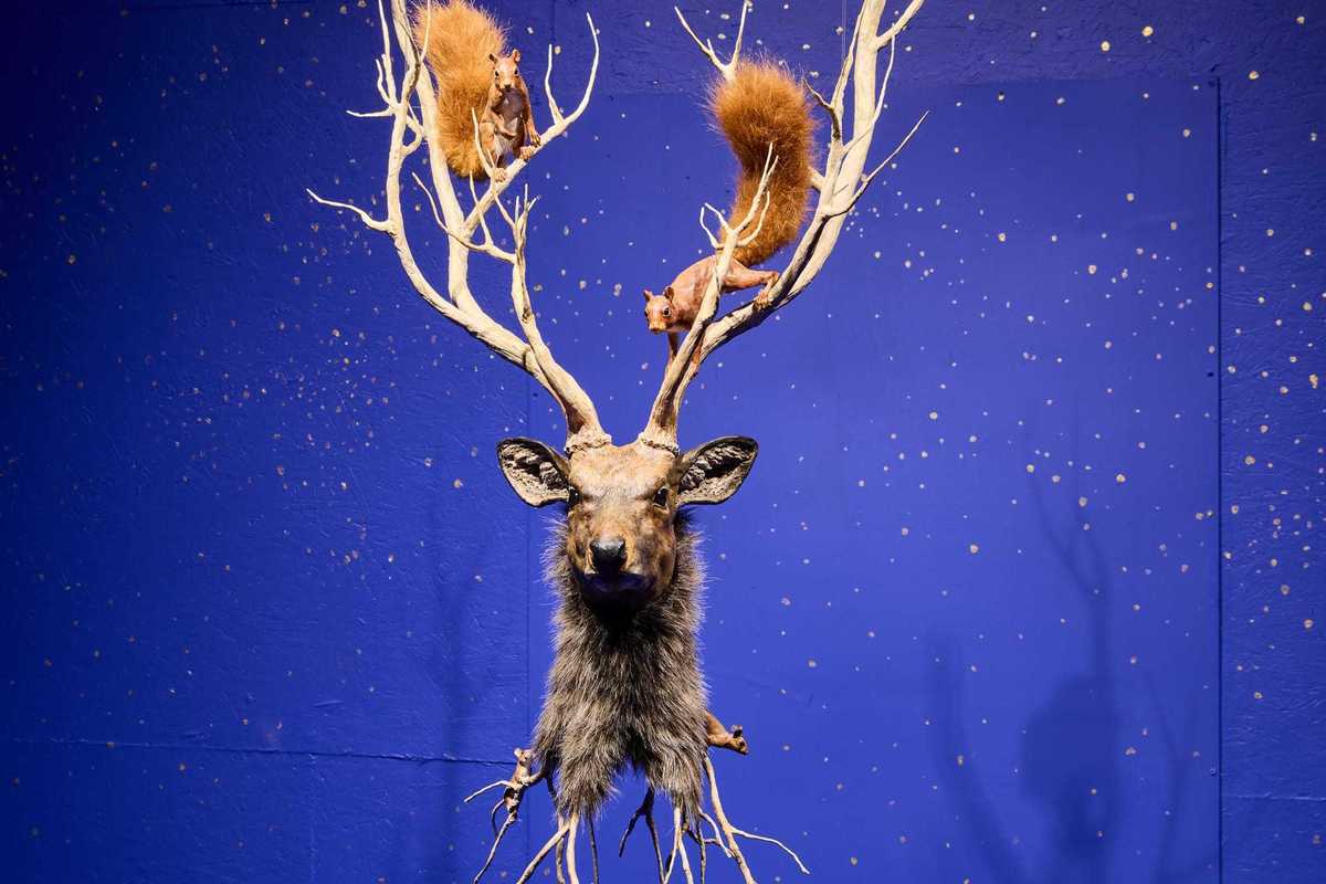 Winter exhibit closes