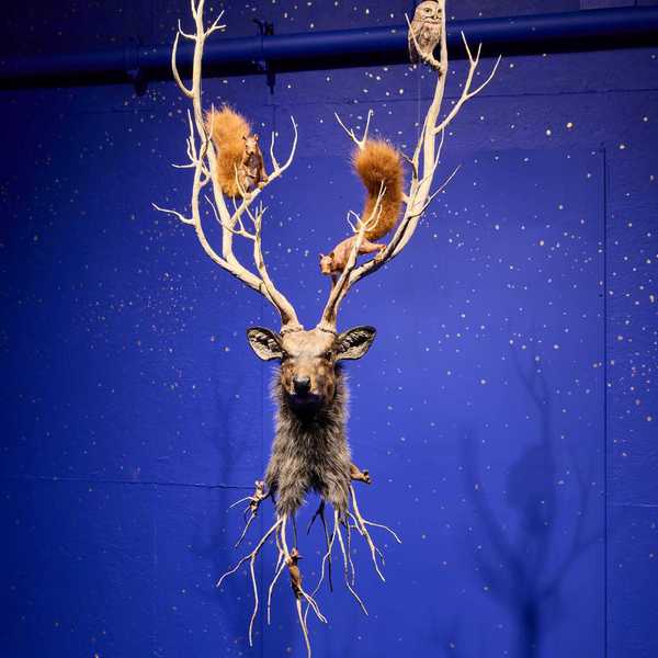 Winter exhibit closes