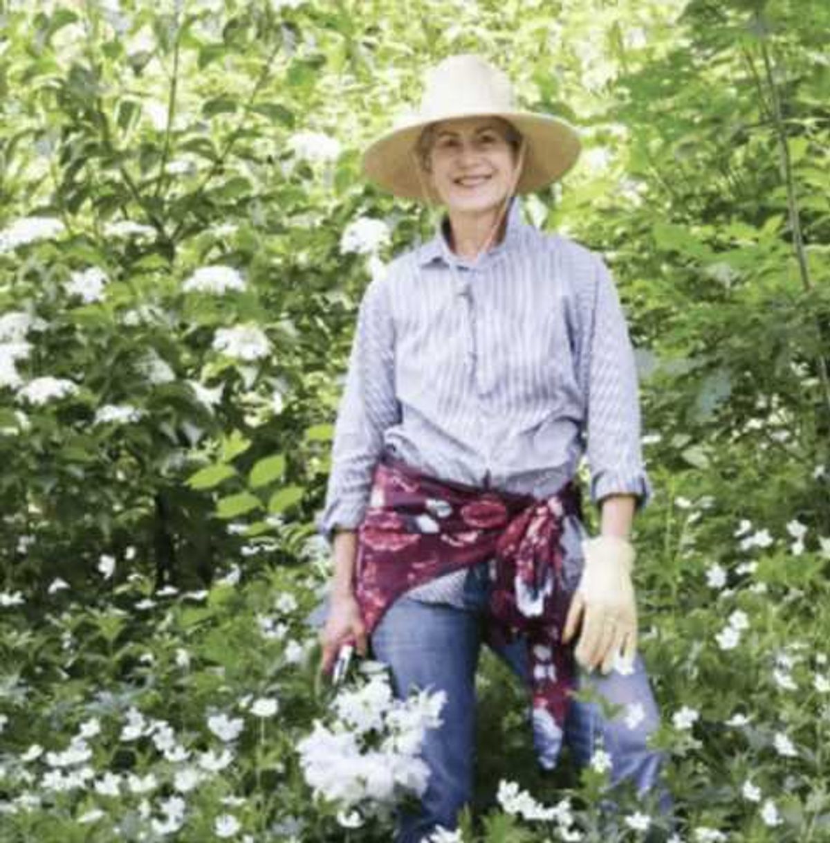 Ungardening: let nature take the lead