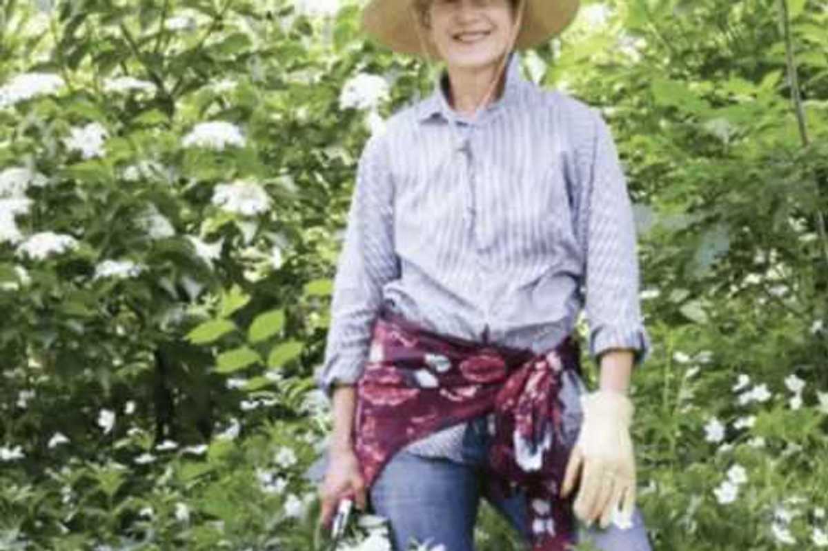 Ungardening: let nature take the lead