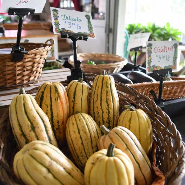 Farm stands abound with produce, meats