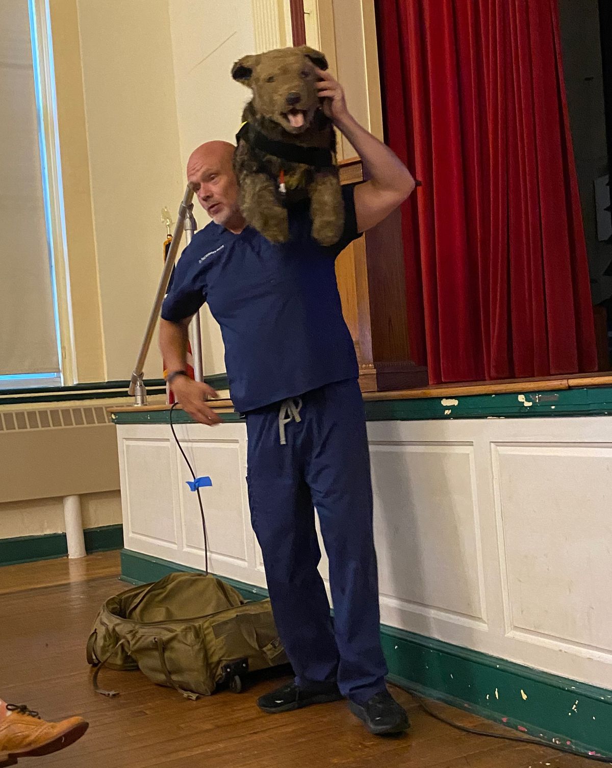Taking action for an injured or distressed pet