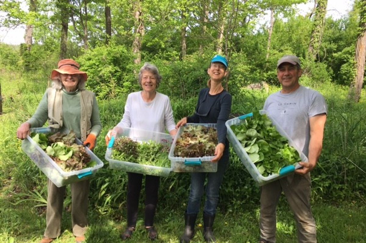 Church’s Giving Garden yields produce that follows the seasons