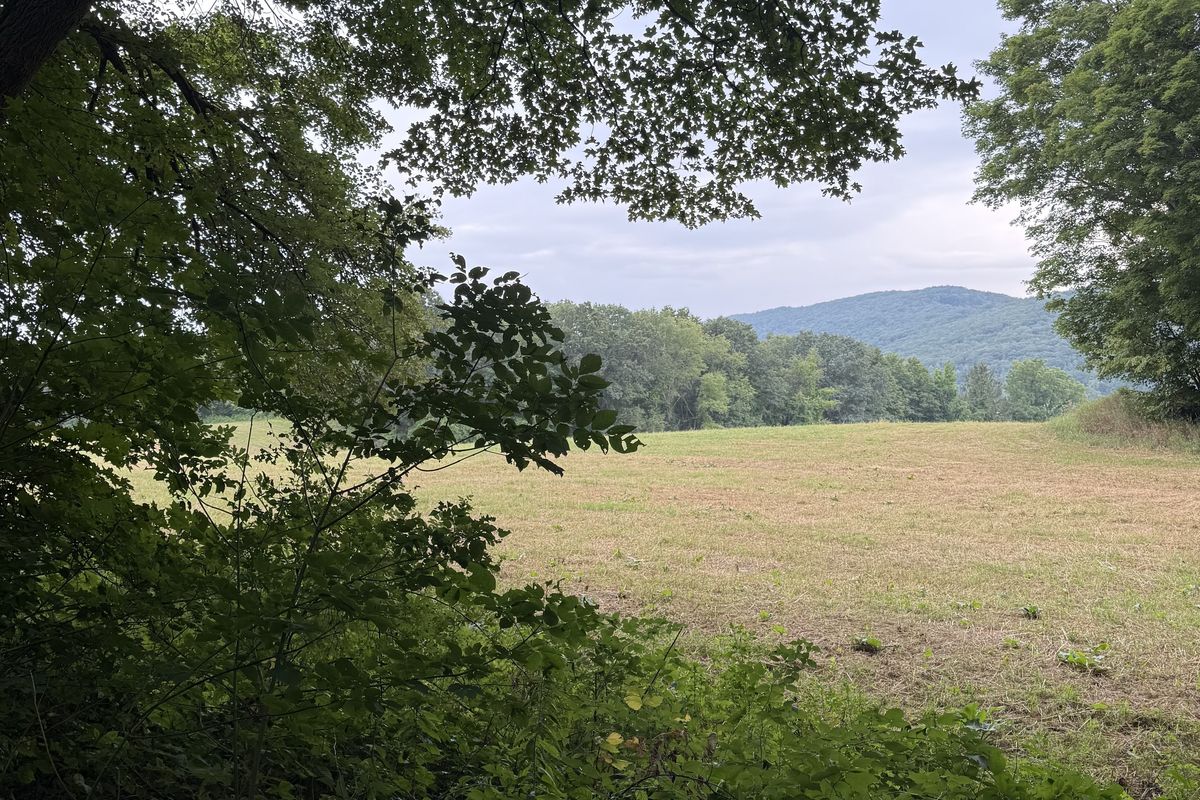 Hiker’s Notebook — Hitting the Alander Brooke Trail