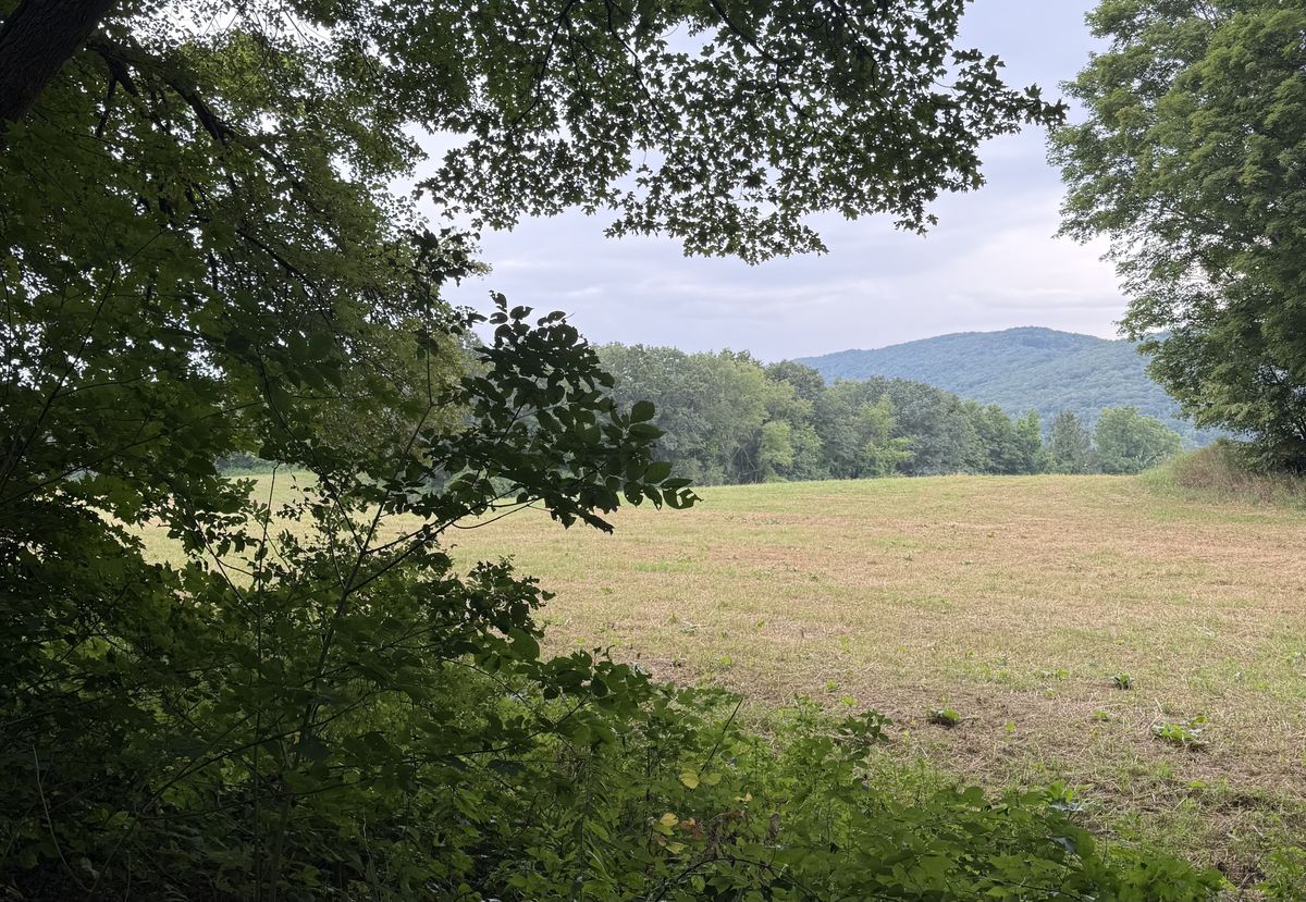 Hiker’s Notebook — Hitting the Alander Brooke Trail