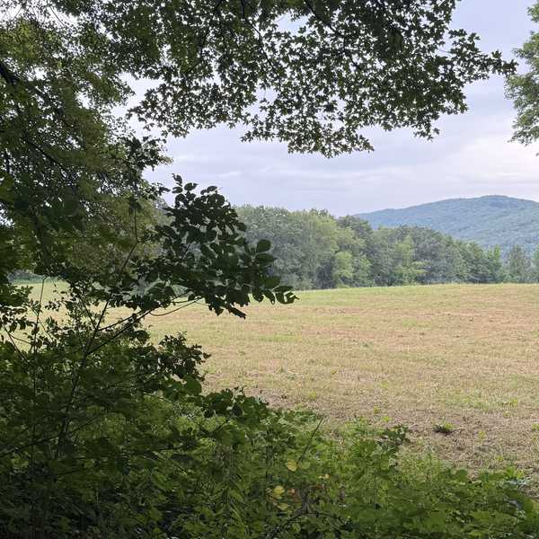 Hiker’s Notebook — Hitting the Alander Brooke Trail