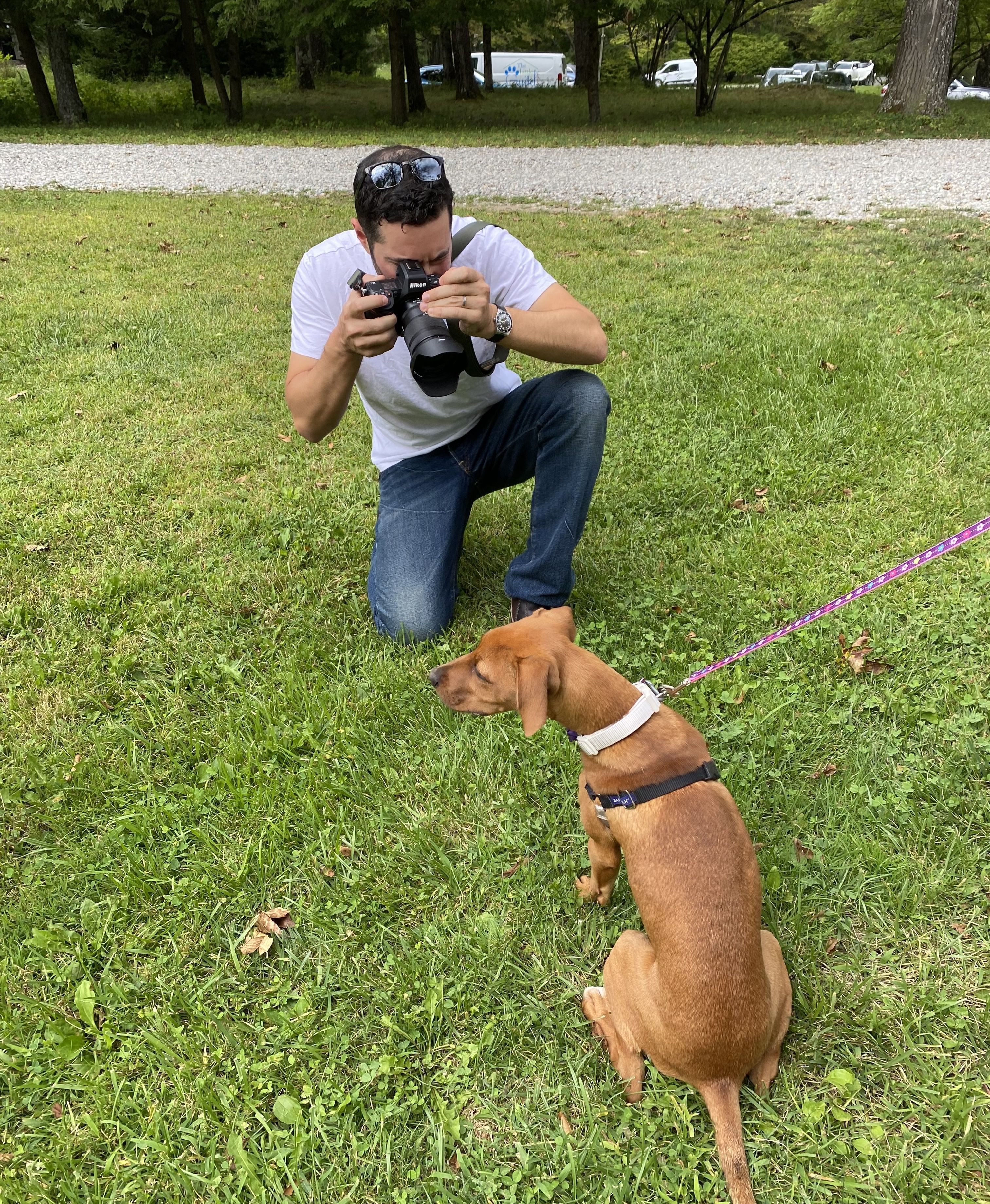 The Dogist: Understanding human-canine bonds