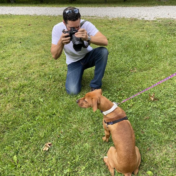 The Dogist: Understanding human-canine bonds