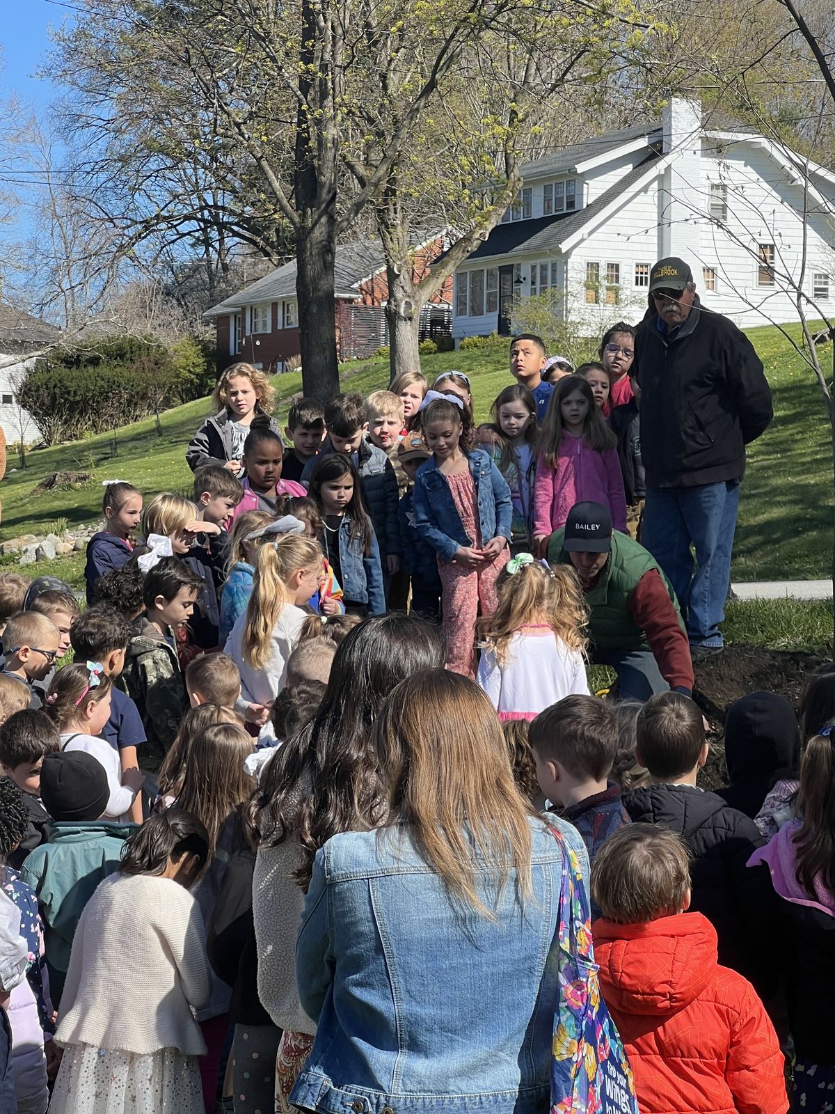 Elm tree planted at Elm Drive School on Arbor Day
