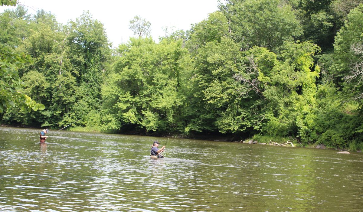 Tarantula rain calls for Tenkara rods