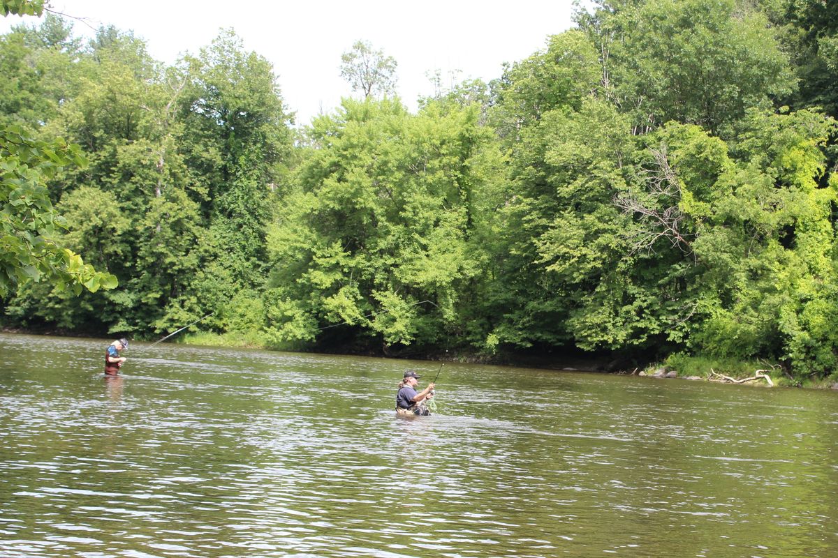 Tarantula rain calls for Tenkara rods