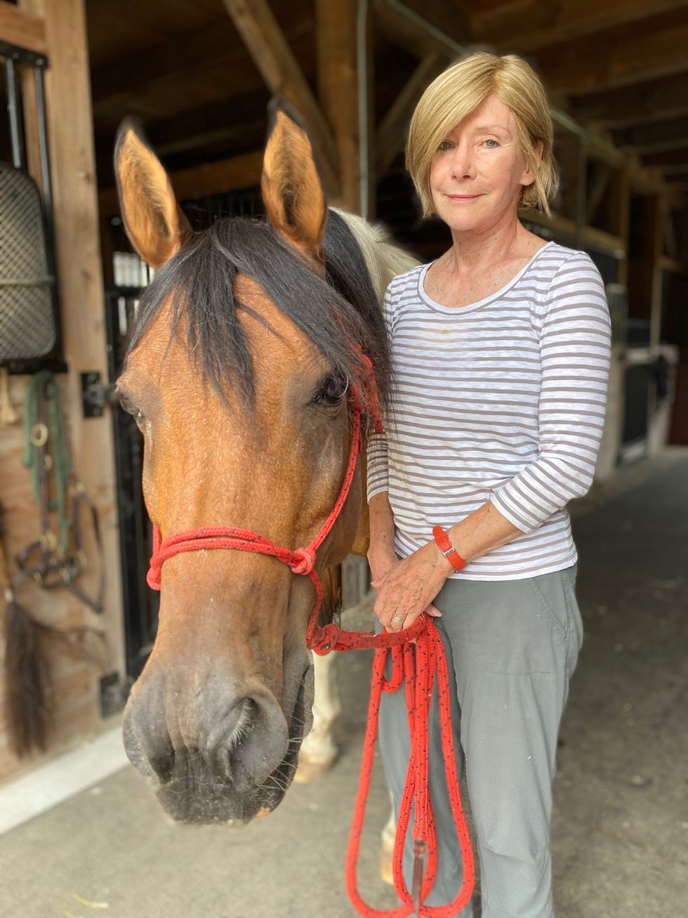 Horse whispering at the drive-in, for Equus Effect