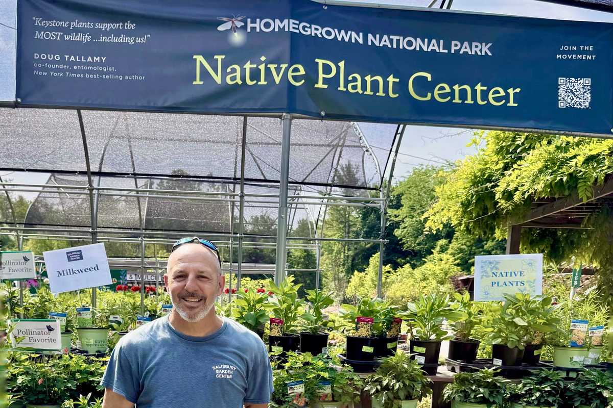Local garden centers spotlight keystone plants