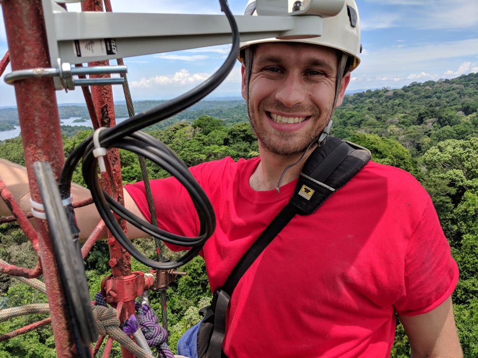 Lightning’s impact on forests’ big trees